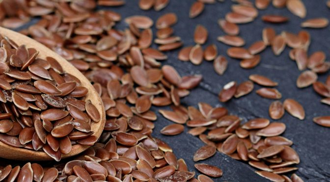 Arca Import & export2